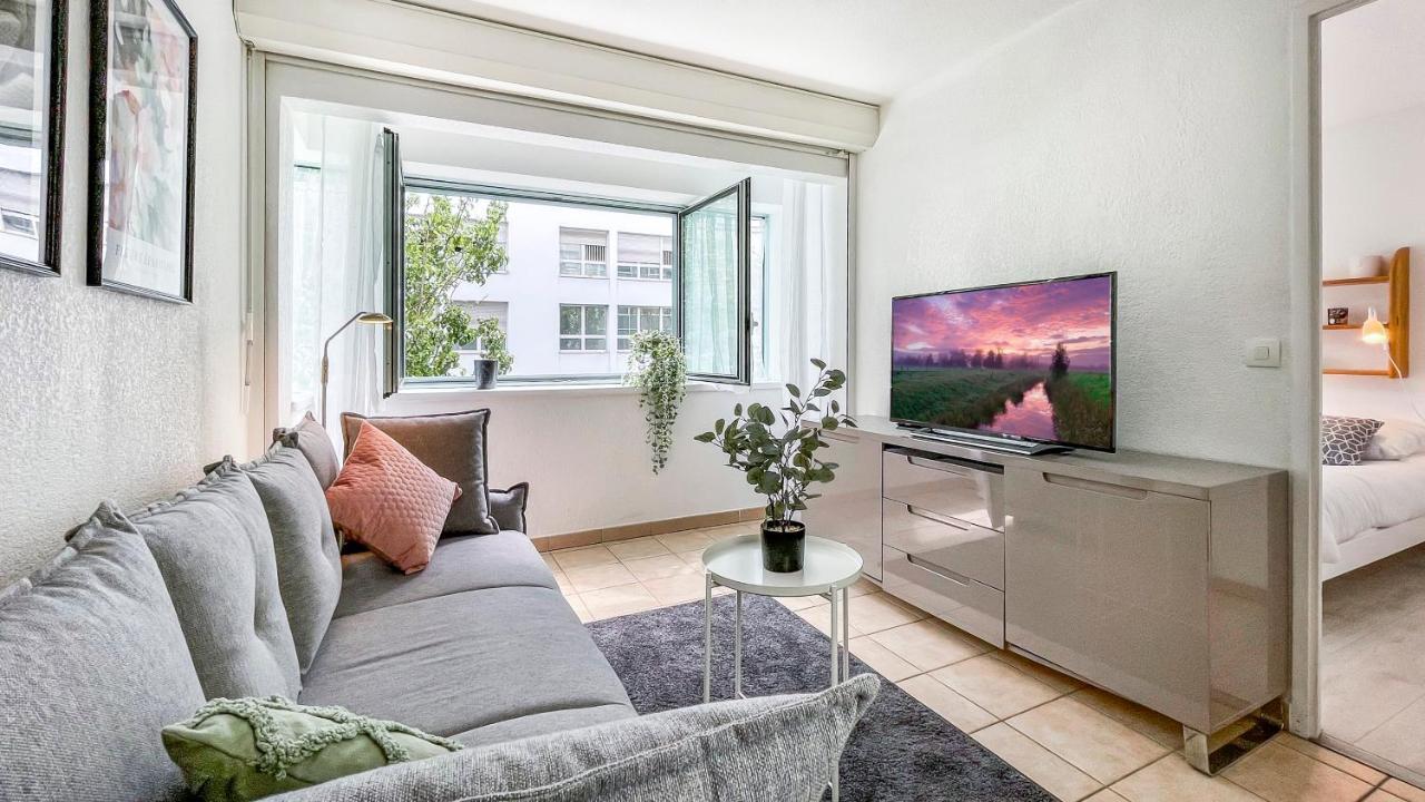 Homey Cycy - New / Free Parking / Hyper-Centre / Proche Geneve Аннмасс Екстер'єр фото